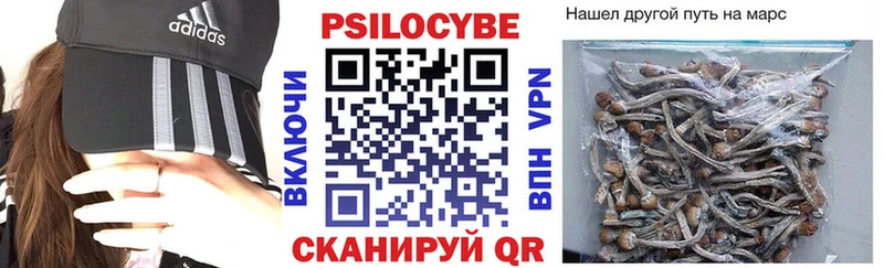 Галлюциногенные грибы мухоморы  магазин продажи наркотиков  Партизанск 